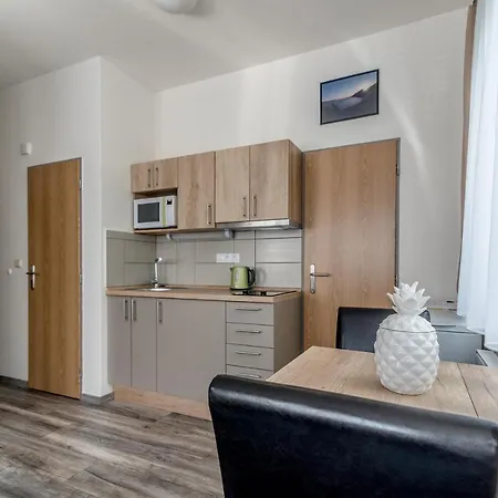 Modern Fully Equipped With Parking Zavadilka 2620 Appartement Ceske Budejovice