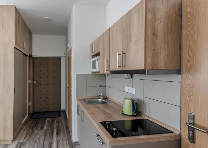 Modern Fully Equipped With Parking Zavadilka 2620 * Ceske Budejovice