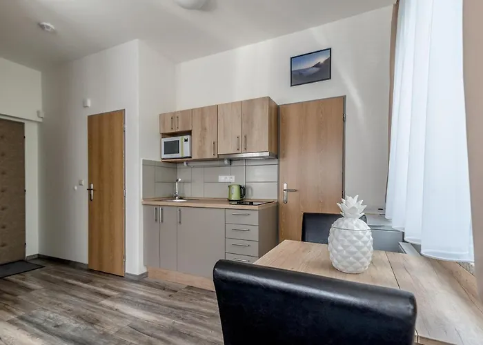 Modern Fully Equipped With Parking Zavadilka 2620 Apartmán Ceske Budejovice
